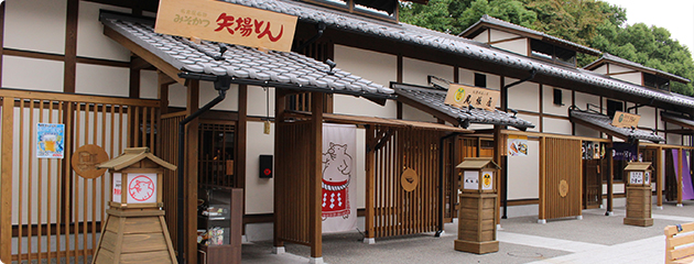 名古屋城&nbsp;金シャチ横丁店